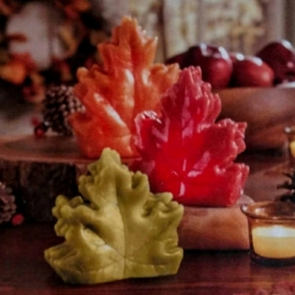 harvest LED light set 🍁 - Picture 2 of 5